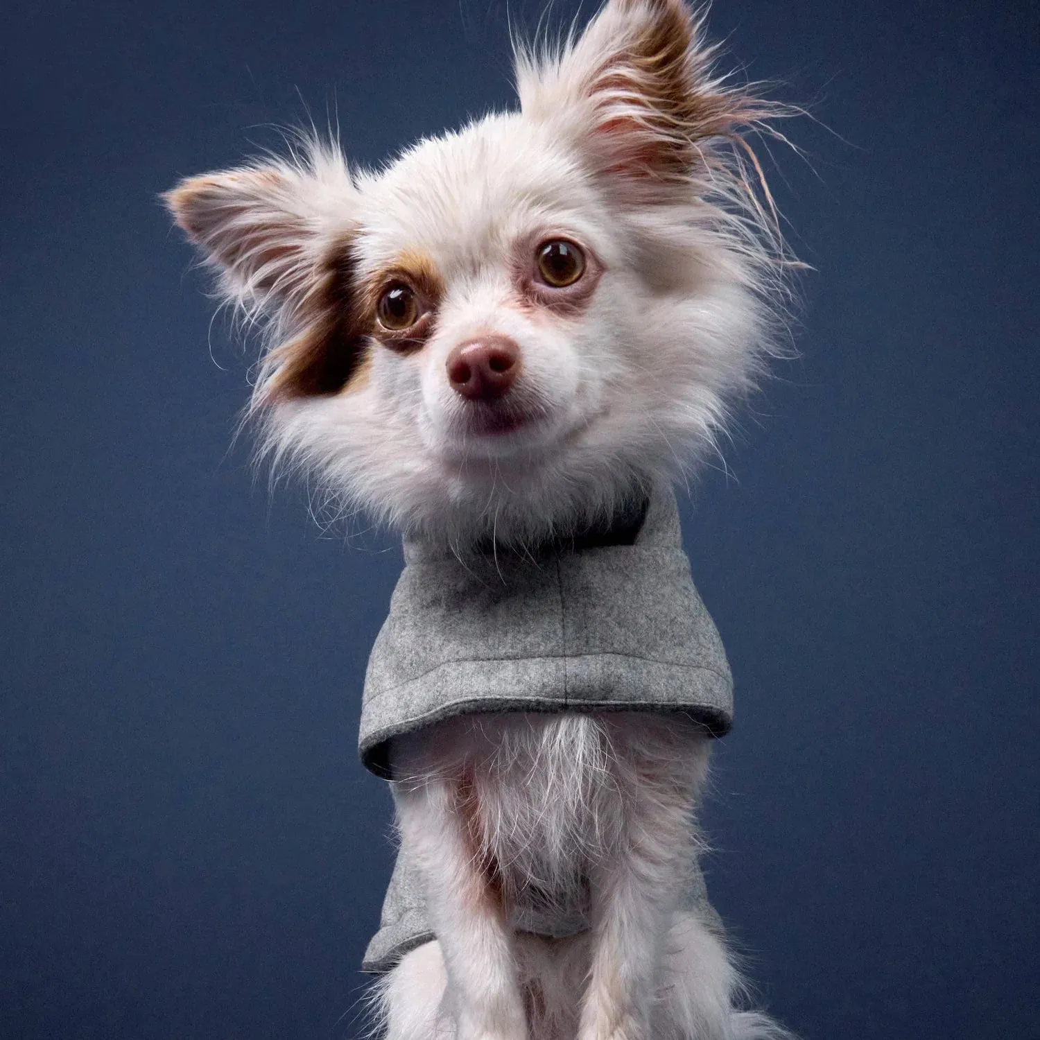 Dog Coat Brooklyn Flannel Grey